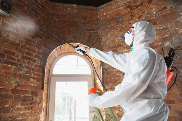 Mold Remediation for Vacation Homes in Long Grove, IA